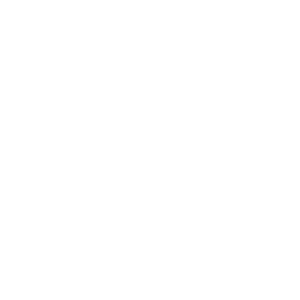 Wellstar Health System Logo